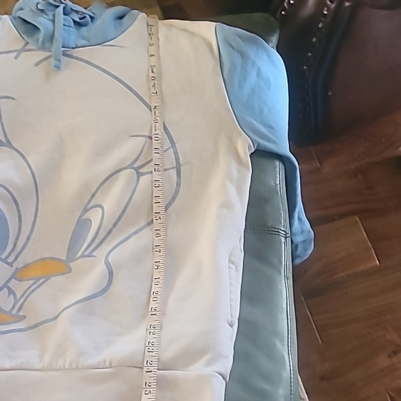 Disney:Tweety Bird from Six Flags . (#1575) Oversized Hoodie. 2 Pocket sz.XL - Picture 9 of 14